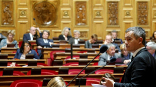 Einwanderungsgesetz abgeschmettert: Frankreichs Innenminister will "harte Ma&szlig;nahmen"
