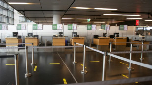 El aeropuerto de Viena permitir&aacute; transportar hasta dos litros en el equipaje de mano