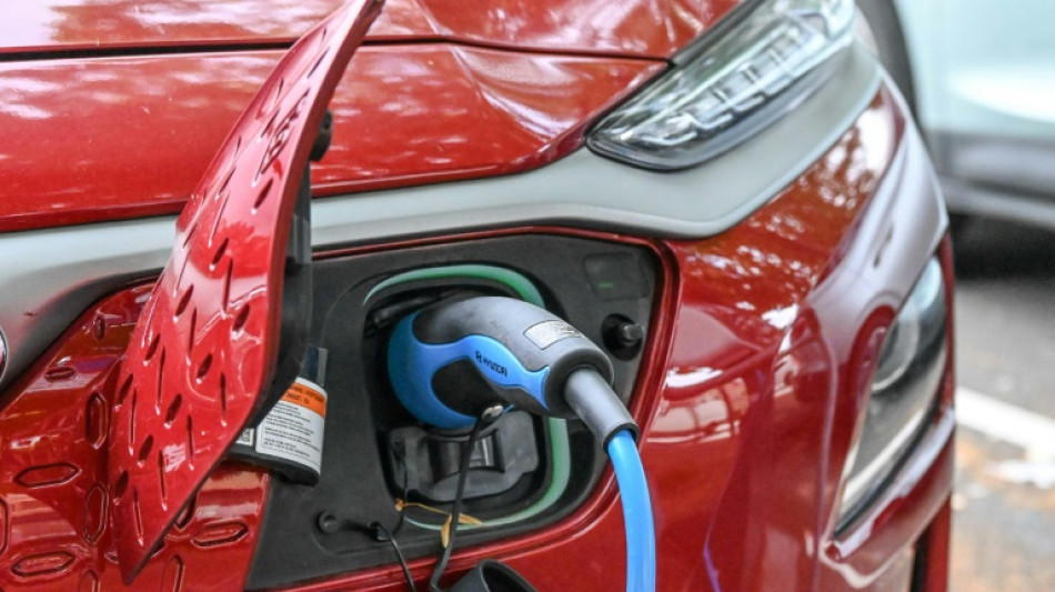 Rekordhoch bei Neuzulassungen von E-Autos im ersten Halbjahr