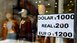 Argentine: le peso s'effondre sur fond de stress pr&eacute;-&eacute;lections