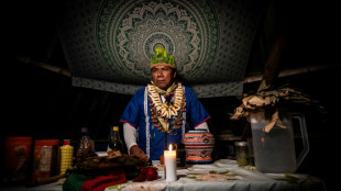 L'ayahuasca: un rem&egrave;de pour les chamans, une drogue pour le Mexique