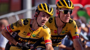 Cyclisme: Primoz Roglic va se faire op&eacute;rer de l'&eacute;paule