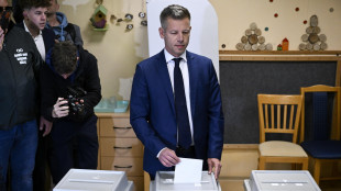Ultimo sondaggio pre-voto, 'Magyar in vantaggio al 55%, Orban al 38%'