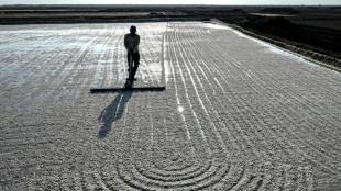 No trees, no fans: surviving extreme heat in India's salt pans