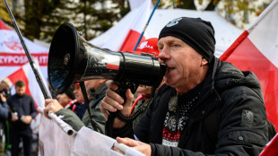 Pologne: le pr&eacute;sident re&ccedil;oit les partis pour sortir de la crise politique