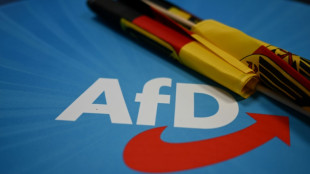 Protestkundgebungen gegen AfD-Parteitag in Essen begonnen - erste Zusammenst&ouml;&szlig;e