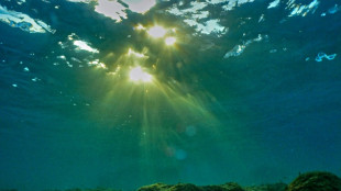 El calor r&eacute;cord de los oc&eacute;anos amenaza la econom&iacute;a del planeta entero