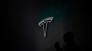 Tesla en de&ccedil;&agrave; des attentes au 4T, pr&eacute;vient d'une croissance plus lente en 2024