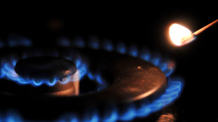 Gme, prezzo gas in Italia sale a 49,04 euro al MWh