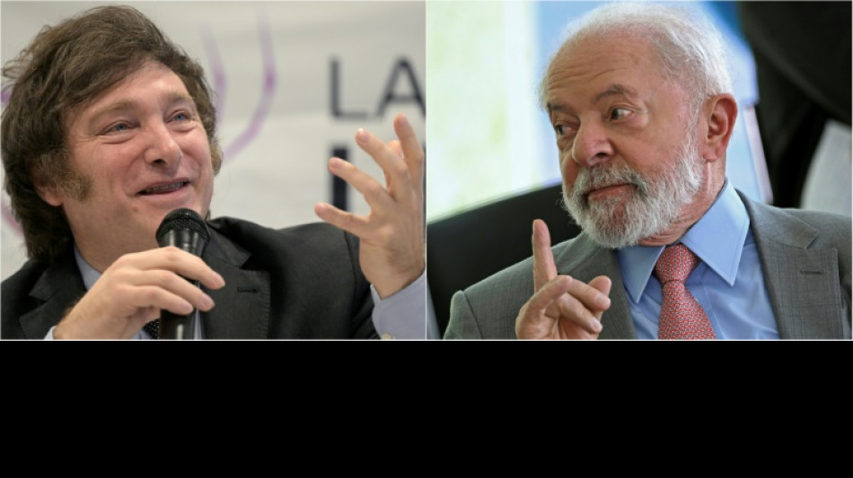 Milei, un voisin g&ecirc;nant pour le Br&eacute;sil de Lula