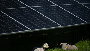 Nach EU-Ermittlung: Chinesische Solarhersteller ziehen Angebote zur&uuml;ck