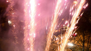 2,7 Millionen Menschen unterzeichnen Petition f&uuml;r B&ouml;llerverbot an Silvester 