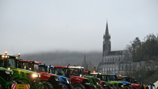 La mobilisation agricole faiblit mais pas de "tr&ecirc;ve" &agrave; l'approche de No&euml;l