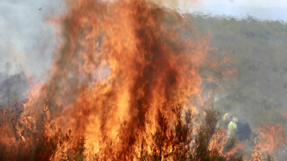 Spagna, morto un uomo per ustioni subite in uno degli incendi