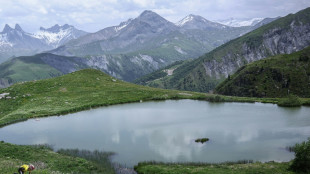 Dauphiné: Pogacar auf und davon - Lipowitz erneut stark