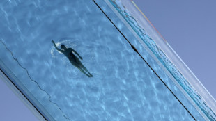 Jahresbilanz vorgelegt: DLRG vergibt mehr Schwimmabzeichen und Seepferdchen