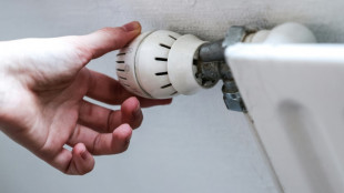 D&uuml;rr sieht L&ouml;sung des Heizungsstreits erst "in den kommenden Wochen" 
