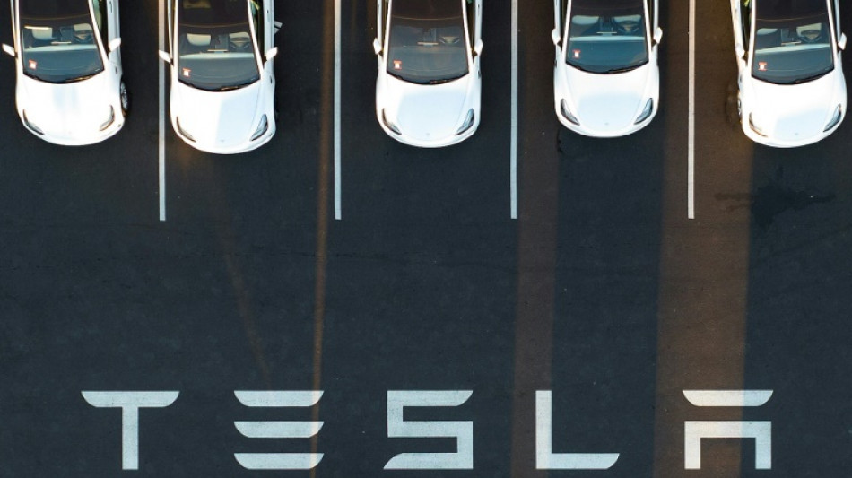 Bericht: Tesla setzt Bauvorhaben f&uuml;r Batteriefabrik in Deutschland aus