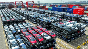 Autoh&auml;ndler erwarten wegen Strafz&ouml;llen gegen China steigende Preise f&uuml;r E-Autos