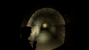 Lyon: une visite virtuelle pour dissiper le myst&egrave;re des "Ar&ecirc;tes de poissons" romaines
