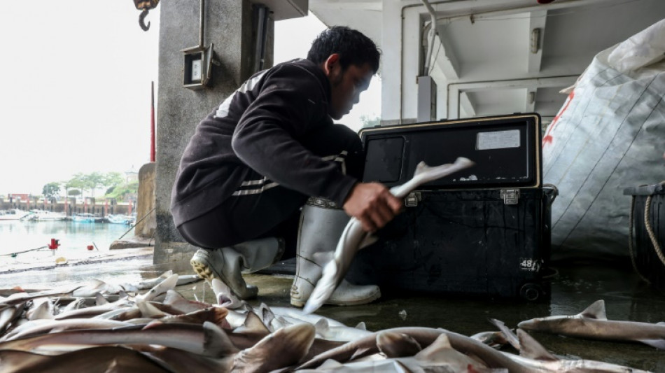 L'&icirc;le Kinmen de Ta&iuml;wan vit "comme d'habitude" malgr&eacute; les exercices chinois