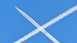 BGH: Airline bei Flugannullierung f&uuml;r Information von Passagieren verantwortlich