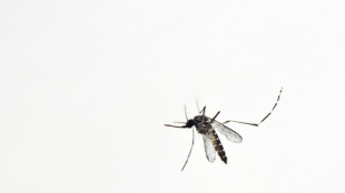 Colombia declara el estado de emergencia por la fiebre amarilla