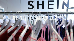 EU-Regeln dr&uuml;cken Gesch&auml;ftszahlen von Online-H&auml;ndler Shein