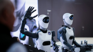 AI-powered robots offer new hope to German factories