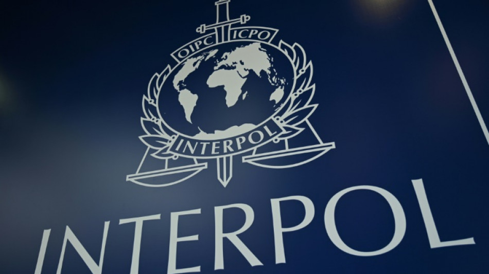 Westliche Verb&uuml;ndete fordern Ausschluss Russlands aus Interpol