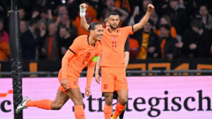 Sem estrelas em campo, Holanda vence Noruega (2-1) de virada em amistoso