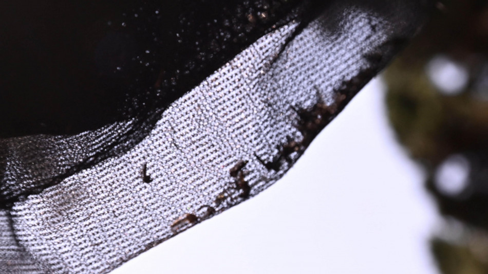 Due nuovi casi di West Nile in Sardegna, salgono a 37