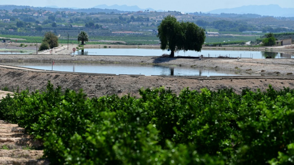 R&eacute;utilisation des eaux us&eacute;es: en Espagne, "chaque goutte compte"