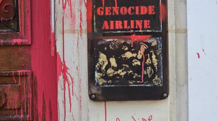 'Genocide Airlines', imbrattata la sede di El Al a Parigi
