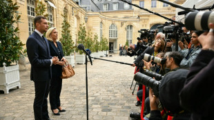 Le Pen pide elecciones "ultrarrápidas" en Francia si cae el gobierno