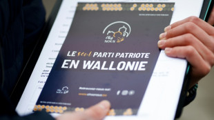 Une sc&egrave;ne politique sans &eacute;lus extr&ecirc;me droite? L'exception belge francophone