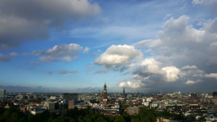 Hamburger Volksentscheid &uuml;ber Grundeinkommen wird nicht wiederholt