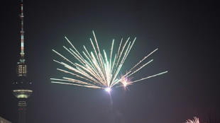 Feuerwerks-Verband weist Verbotsforderung von &Auml;rztepr&auml;sident als "sachfern" zur&uuml;ck