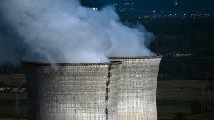 Nucl&eacute;aire: la r&eacute;forme d&eacute;cri&eacute;e de la s&ucirc;ret&eacute; proche de son adoption finale au Parlement