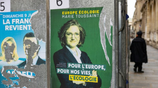 Europ&eacute;ennes: la b&eacute;r&eacute;zina des Verts, m&ecirc;me dans les villes &eacute;colos