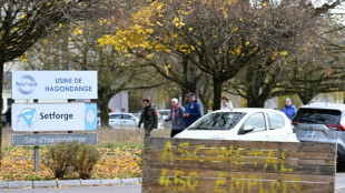 Reprise d'industrie en difficult&eacute;: la difficile &eacute;quation du bon repreneur