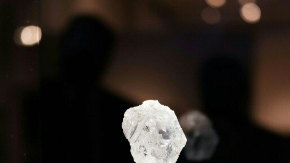 Botsuana steigt bei belgischem Diamantenh&auml;ndler HB Antwerp ein