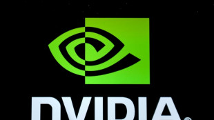 Nvidia plus que jamais faiseur de rois de l'IA apr&egrave;s une ann&eacute;e record