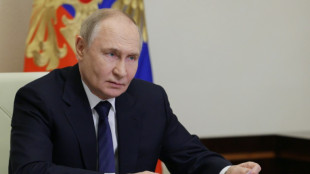 Putin, bajo orden de arresto de la CPI, no viajará a la cumbre de los Brics en Brasil