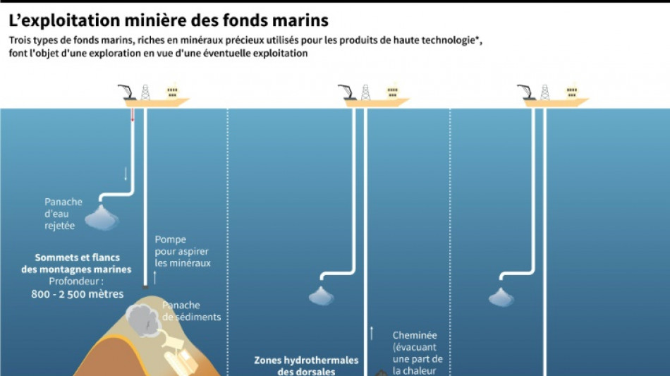 Un tr&eacute;sor biologique ignor&eacute; peuple les grands fonds marins convoit&eacute;s par l'extraction mini&egrave;re
