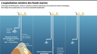 Un tr&eacute;sor biologique ignor&eacute; peuple les grands fonds marins convoit&eacute;s par l'extraction mini&egrave;re