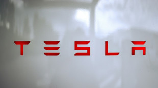 Suède: après deux ans de grève chez Tesla, un syndicat n'entend pas abdiquer