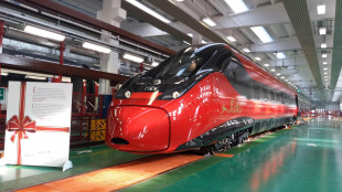 Alstom scivola in Borsa a Parigi (-30%), ritira le stime sulla cassa