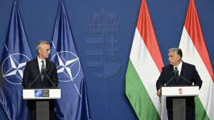 Nato-Verteidigungsminister beraten &uuml;ber Luftabwehr f&uuml;r die Ukraine