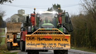 Mercosul se re&uacute;ne em Foz do Igua&ccedil;u enquanto UE espera assinar acordo em 12 de janeiro